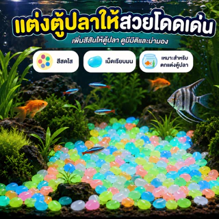 [WEIYI] 100 ชิ้น ก้อนกรวดเรืองแสง หลากหลายสี สำหรับตกแต่งสวนและตู้ปลา DIY มี 10 สี ให้เลือก
