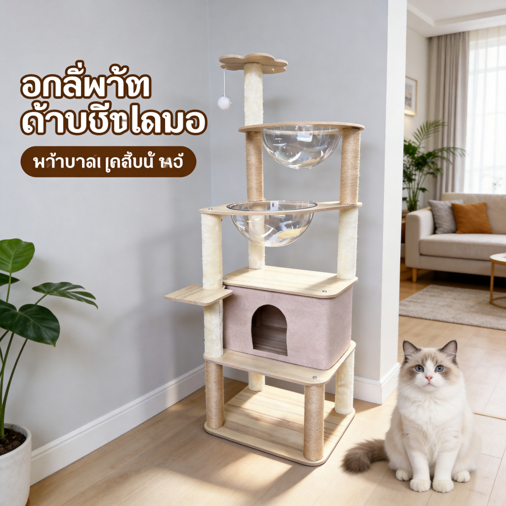 โครงปีนป่ายสำหรับแมว 4 ชั้นนี้ มีแคปซูลใส 2 อัน และที่นอนแมวทำจากผ้าสักหลาด เหมาะสำหรับบ้านที่มีแมวหลายตัว ชั้นบนสุดมีลู
