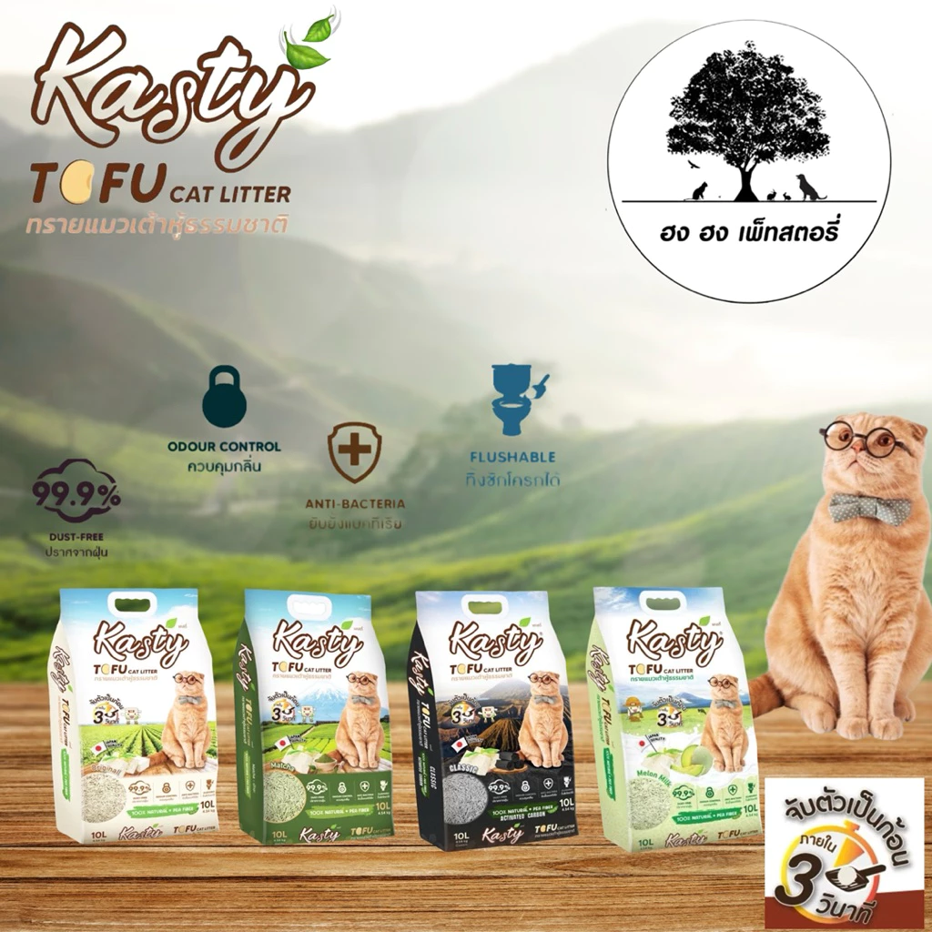 Kasty Tofu Litter ทรายแมวเต้าหู้ ไร้ฝุ่น จับตัวเป็นก้อน ทิ้งชักโครกได้ สำหรับแมวทุกวัย