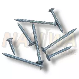 Naniwa สกรูหัวเวเฟอร์ ปลายแหลม สีขาว (100ตัว) (HJ) สกรูปลายแหลมหัวนูน