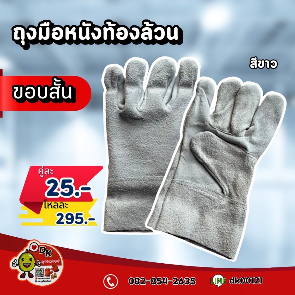 DK005 ถุงมือหนังท้องล้วน ขอบสั้น ยาว 10 นิ้ว (ราคาต่อคู่)