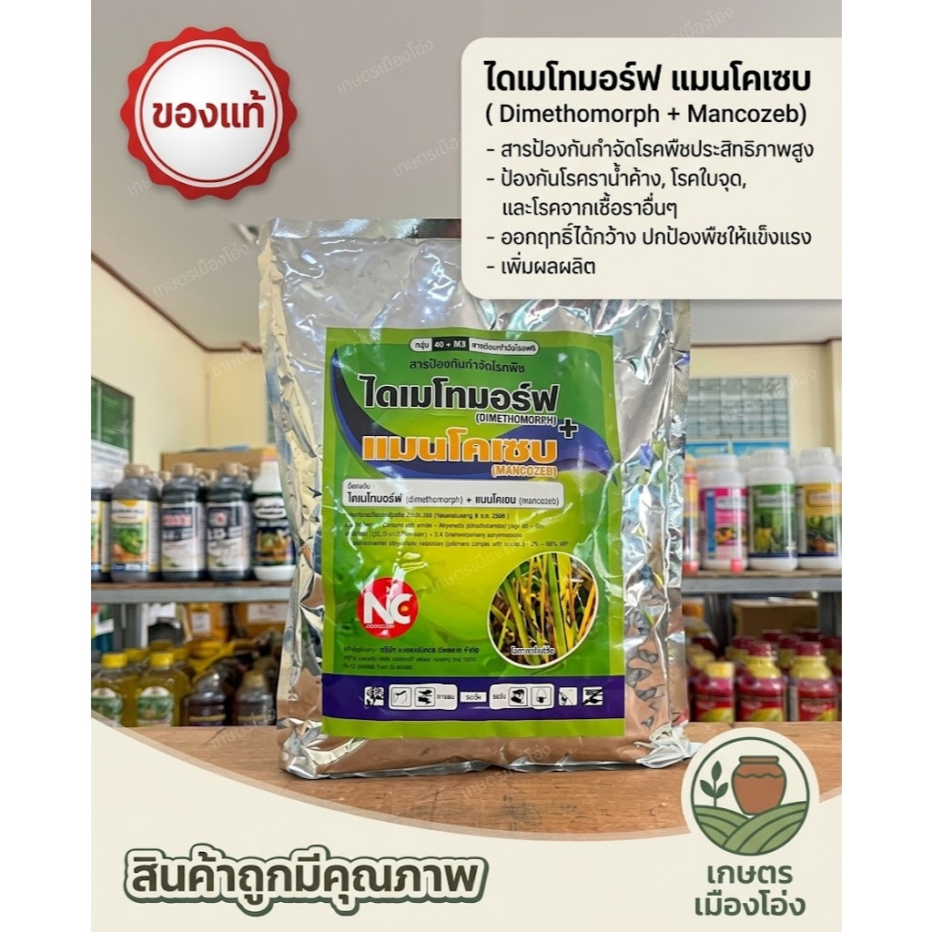 ไดเมโทมอร์ฟ+แมนโคแซบ ขนาด1กิโลกรัม 2 สูตร พิชิตเชื้อรา ออกฤทธิ์ควบคุมเชื้อราได้อย่างกว้างขวาง