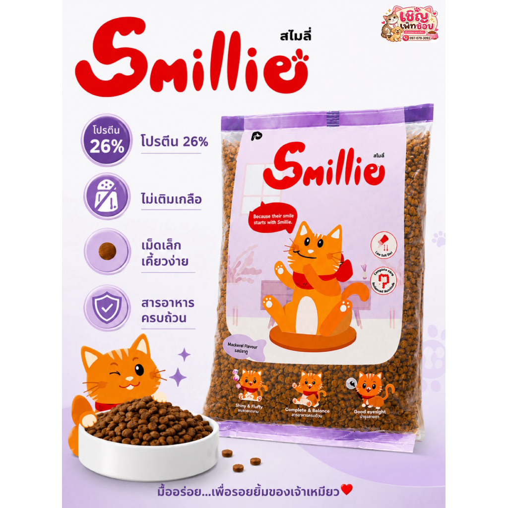 Smillie สไมล์ลี่ อาหารแมวโต1+ ขนาด 1กก. เม็ดเล็กเคี้ยวง่าย