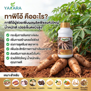 ฮอร์โมนระเบิดหัวมัน ขนาด 500 ml ใช้ได้ 30 ไร่ ใช้กับพืชทุกชนิด ช่วยการสะสมอาหารของพืช