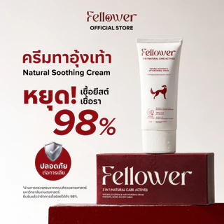 Fellower ครีมทาอุ้งเท้าสุนัข 3in1 ดูแลอุ้งเท้าแดง คัน เลียเท้า ยีสต์ ซึมไว ไม่เหนียว ปลอดภัยเลียได้ Paw Cream 50ml