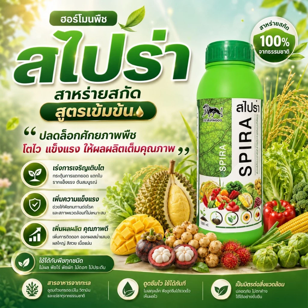 🌾🍎 สไปร่า 🌽🌶🥭 สาหร่ายเขียว + กรดอะมิโน ฟื้นต้นโทรม ติดดอก ขยายลูก เพิ่มน้ำหนัก4tree ปุ๋ยน้ำ ฮอร์โมนพืช ปุ๋ย ธาตุอาหารรอง