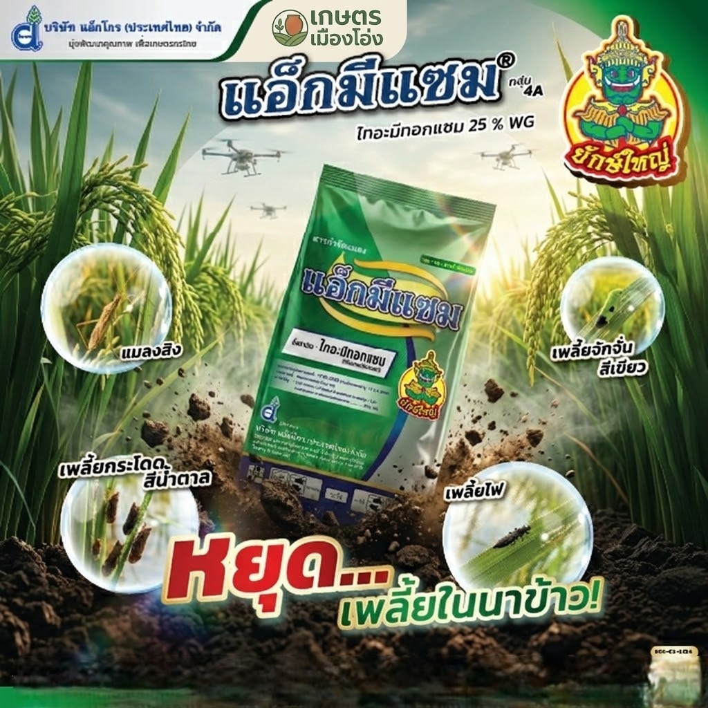 แอ็กมีแซม ไทอะมีทอกแซม (thiamethoxam) 25 % WG ขนาด 1 กิโลกรัม กำจัดเพลี้ยทุกชนิด ยักษ์ใหญ่