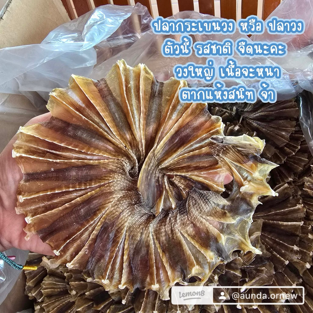 ปลากระเบนวงพิเศษ แบบจืด วงใหญ่ เนื้อหนา อร่อยค่ะ