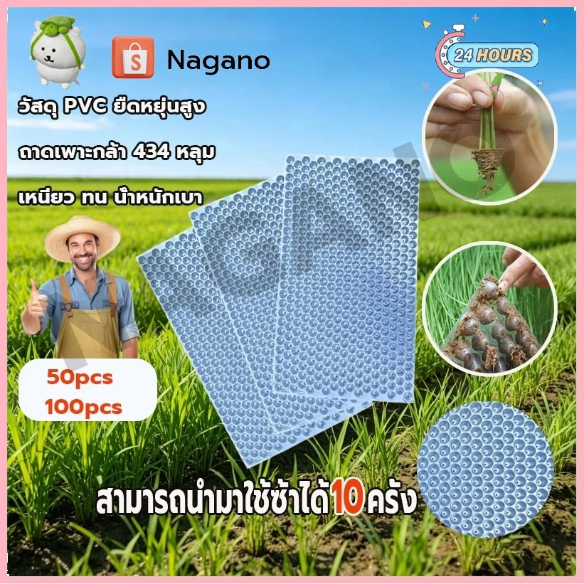 ถาดเพาะกล้านาโยน 434 หลุม50/100 ชิ้น (แบบหนา) มีรูระบาย เหนียว ทนทาน ใช้เพาะเมล็ดข้าว ถาดกล้านาโยน ป้องกันโรครากเน่า
