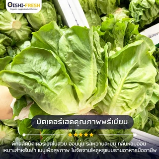 🛒Oishi-Fresh🥬บัตเตอร์เฮด ปลอดสารพิษ 1 กก. รสชาติกรอบ สด ใหม่ ใยอาหารสูง หวานออร์แกนิค เคลมได้ 1-2 วัน