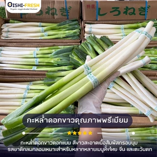 🛒Oishi-Fresh🥬ต้นหอมญี่ปุ่น ปลอดสารพิษ 1 กก. รสชาติกรอบ สด ใหม่ ใยอาหารสูง หวานออร์แกนิด ผัก เคลมได้ 1-2 วัน