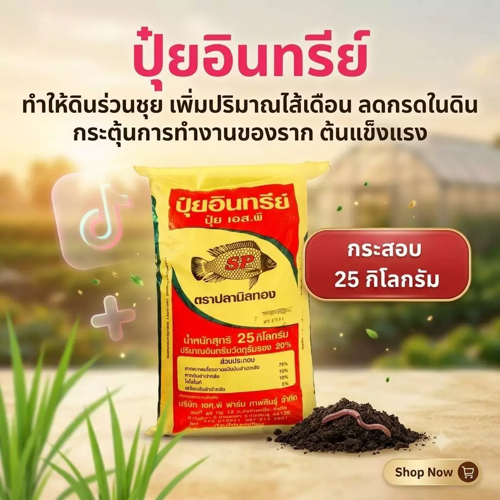 ปลานิลทอง ปุ๋ยอินทรีย์ ปรับหน้าดิน กระสอบ 25 กก ลดความเป็นกรดในดิน ทำให้ดินร่วนซุย เพิ่มธาตุอาหาร สร้างสมดุลธาตุอาหารในด