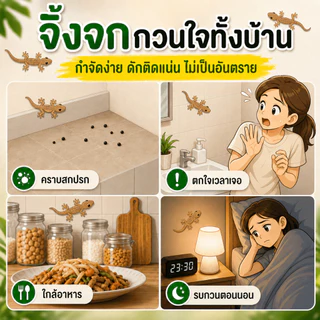 ✅เก็บซากได้ง่าย✅แผ่นกาวดักจิ้งจก กำจัดจิ้งจก 1 กล่อง มี 5 แผ่น ติดได้ทั้ง 2 ด้าน ไล่จิ้งจก