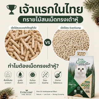 (เจ้าแรกในไทยเม็ดทรายเหมือนเต้าหู้)Pine oil wood ทรายไม้สนสูตรลดการสะสมของเชื้อโรค