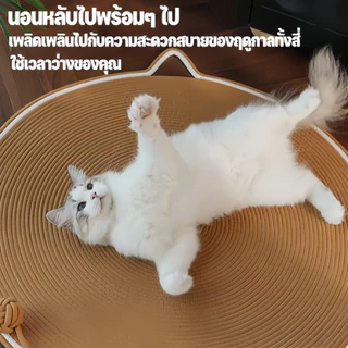 แมวแผ่นรองข่วนอเนกประสงค์ ทนทาน กันลับเล็บ พื้นผิวธรรมชาติ ไม่เป็นขุย ใช้ได้ทุกสายพันธุ์ มี 2 สี