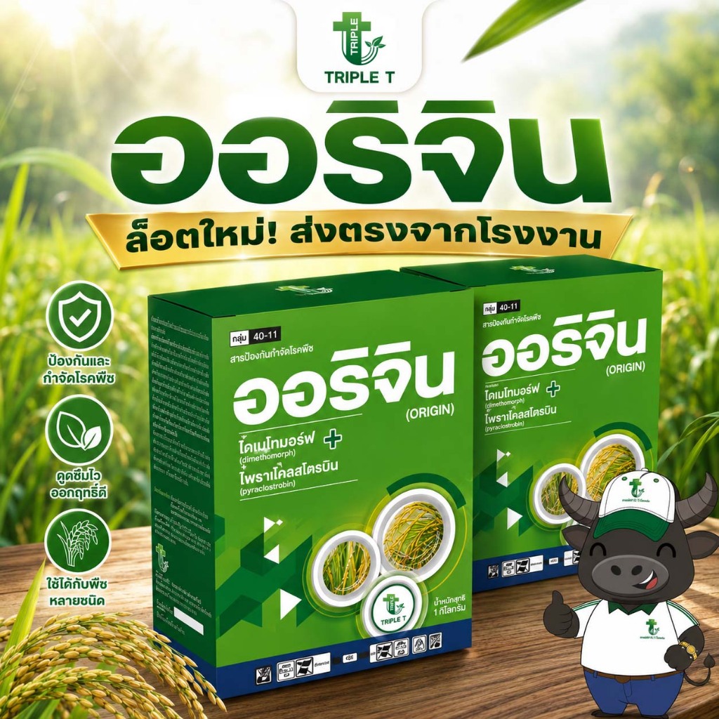 ออริจิน สารป้องกันกำจัดเชื้อรา ไดเมโทมอร์ฟ + ไพราโคลสโตรบิน ป้องกันโรคราน้ำค้าง ใบไหม้ ทุเรียน