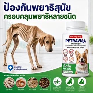 Virapet เสริมอาหารสุนัข ถ่ายพยาธิสุนัข ปรสิตภายใน หมาผอม เบื่ออาหาร ขนร่วง เสริมภูมิสัตว์เลี้ยง