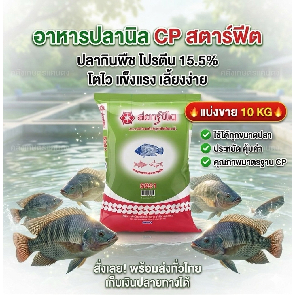 [แบ่ง 10 KG.] อาหารปลากินพืช CP ซีพี สตาร์ฟีต 9931 9932 9933 โปรตีน15.5% ปลาโตไวมั่นใจอาหารปลาซีพี