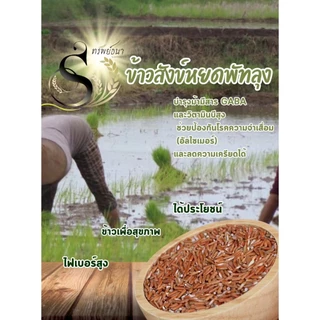 ข้าวสังข์หยด หอม นุ่ม 1กิโลกรัม ตราทรัพย์ธนา