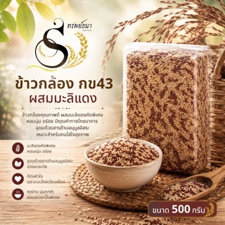 500กรัม ข้าวกล้องผสมมะลิแดง ตราทรัพย์ธนา ทางเลือกเพื่อสุขภาพ