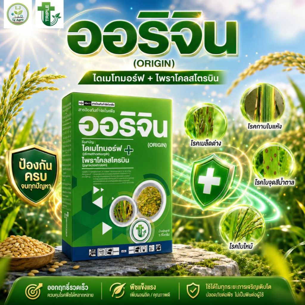 ออริจิน #ไดเมโทมอร์ฟ + ไพราโคลสโตลบิน ขนาด 1 กิโลกรัม (ทริปเปลิ้ลที)สารป้องกันกำจัดโรคพืช#แอลเจอะโกร