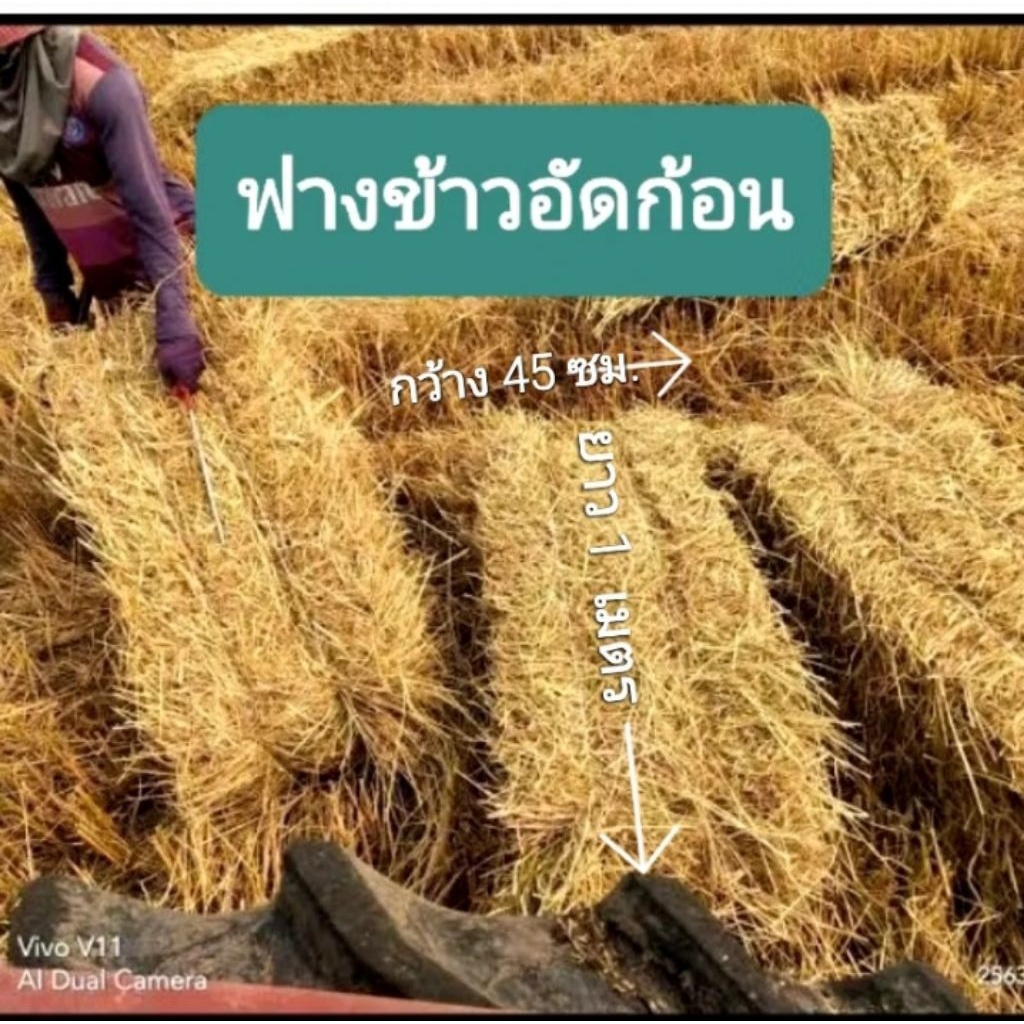 ฟางข้าวอัดก้อน ฟางข้าวใหม่ปีนี้  สวย คุณภาพดี แห้ง 1 ก้อน ไม่ขึ้นรา น้ำหนักประมาณ 15 ถึง 18 กิโล