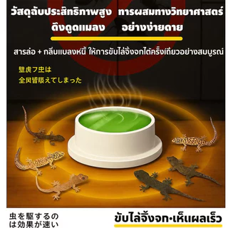 🦎เจลกำจัดจิ้งจก 10 ชิ้น/กล่อง เหยื่อกำจัดจิ้งจก ไล่ตุ๊กแก เห็นผลไว วางง่าย ใช้ในบ้าน ห้องครัว ห้องน้ำ