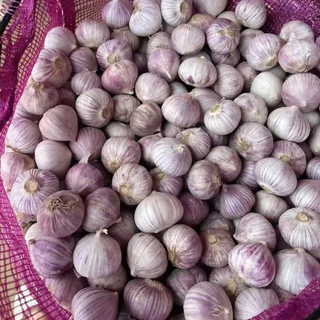 กระเทียมโทนสด ปลอดสาร 500 กรัม