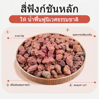 หินลาวาแดง หินลาวาดำ วัสดุกรองตู้ปลา บ่อปลา จากธรรมชาติ จมน้ำ มีรูพรุนสูง ช่วยเป็นที่อยู่ของแบคทีเรียได้เป็นอย่างดี