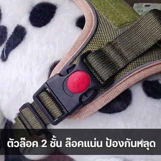 สายรัดอกสุนัขกลาง-ใหญ่ พร้อมแทบสะท้อนแสงกลางคืน