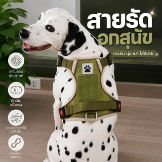 สายรัดอกสุนัขกลาง-ใหญ่ พร้อมแทบสะท้อนแสงกลางคืน