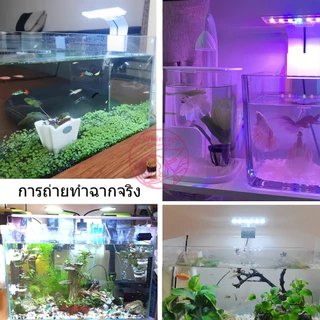 โคมไฟ LED สำหรับตู้ปลา แบบหนีบ ไฟเลี้ยงปลา 5W ระบายความร้อนได้ดี