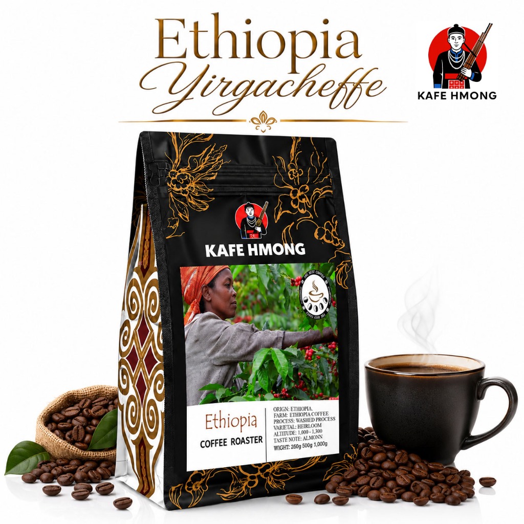 Ethiopia Yirgacheffe G2 ชาวบ้านกำลังเก็บกาเเฟ (Washed) | The Best Coffee Roasted | เมล็ดกาแฟอราบีก้า
