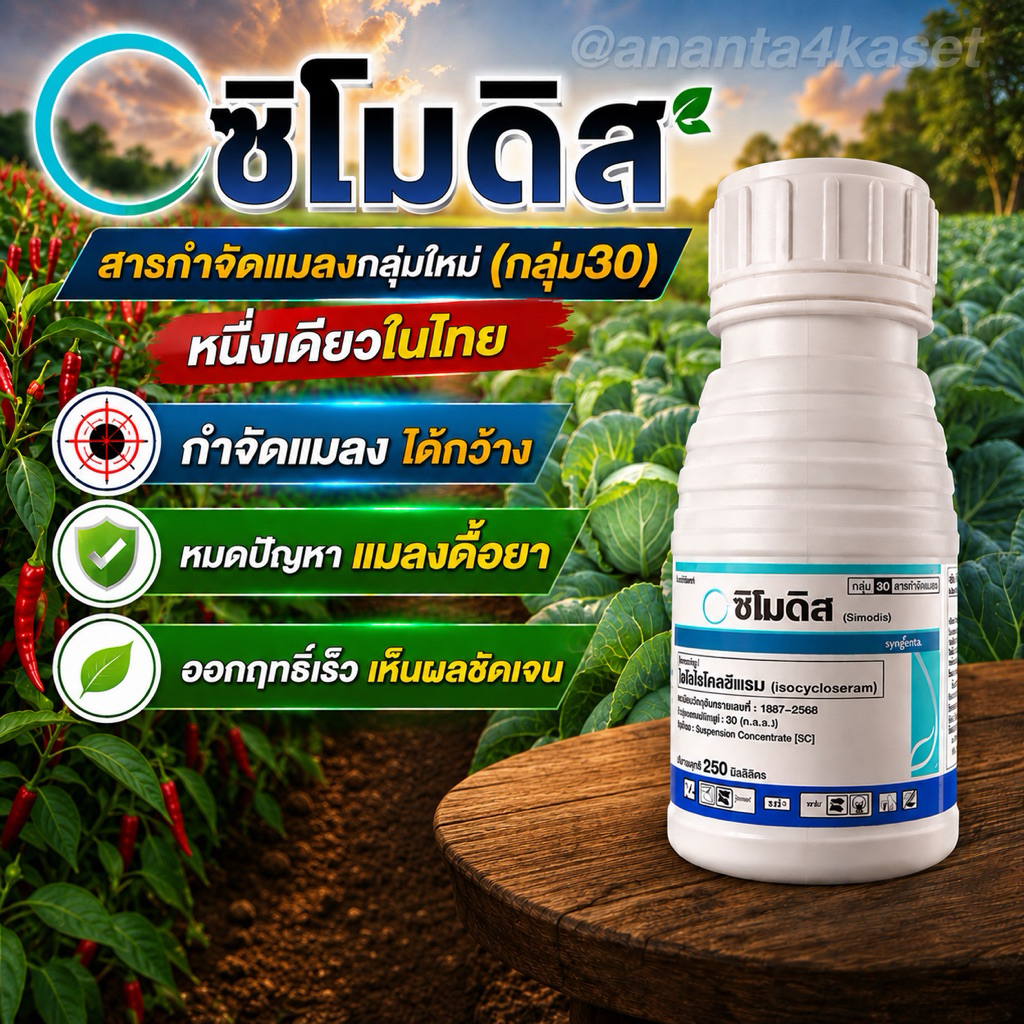 ซิโมดิส สารกำจัดแมลงกลุ่มใหม่(กลุ่ม30) จาก syngenta สารไอโซไซโคลเซอแรม 9.2% W/V DC สารกำจัดแมลง บ.ซินเจนทา