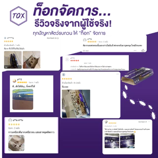 TOX บ้านกาวดักแมลงสาบ | 3-5 หลัง | มีเหยื่อสังเคราะห์ในตัว | ดักแมลงสาบเเละจิ้งจกได้ทุกสายพันธุ์ | ไร้สารเคมี | ปลอดภัย