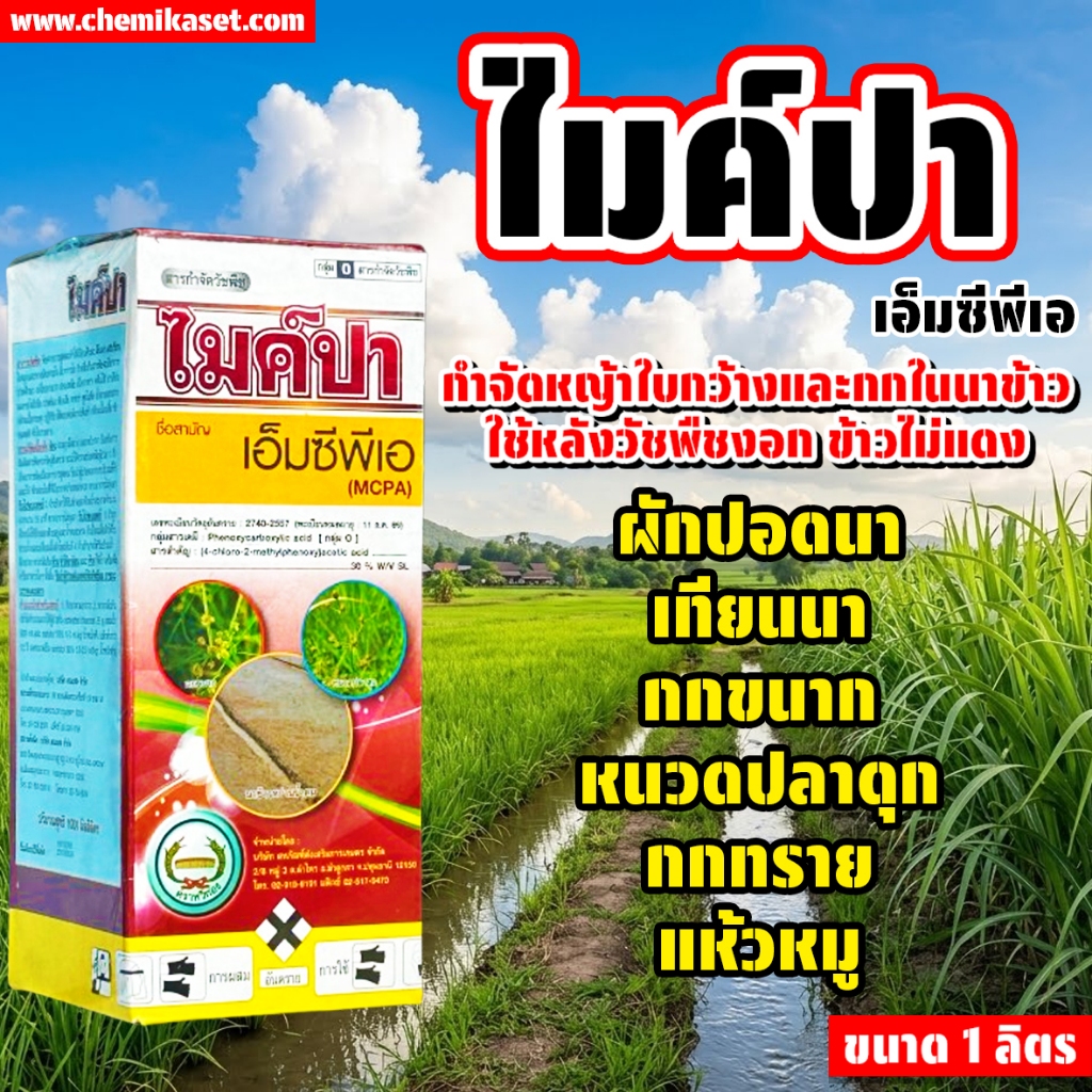 ไมค์ปา ขนาด 1ลิตร สารกำจัดวัชพืชประเภทเจาะจง กำจัดใบกว้าง กก หนวดปลาดุก สารเอ็มพีซีเอ 30% W/V SL
