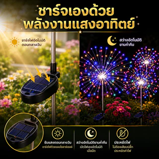 Evora 🌟ลดเฉพาะวันนี้🌟โคมไฟตกแต่ง โซล่าเซลล์ 60/120/150LED ดอกไม้ไฟ เซลล์แสงอาทิตย์ ไฟกระพริบ ไฟตกแต่ง ไฟสวน กันน้ำ