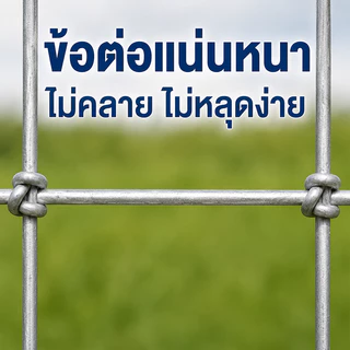 รั้วตาข่ายถักปม ลวดตาข่ายถักปม สูง1.5เมตร ยาว30m/50m ลวดตาข่ายถักปม ลวดเหล็กล้อมรั้ว ลวดล้อมไร่สวน ลวดล้อมคอกส