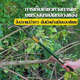 เคียวเกี่ยวข้าวอุปกรณ์ทำสวน เหล็กหนาแข็งแรงทนทาน ใบมีดคมสุด ด้ามจับกันลื่น ตัดหญ้าวัชพืช เก็บเกี่ยวข้าว สวนผักพืชไร่