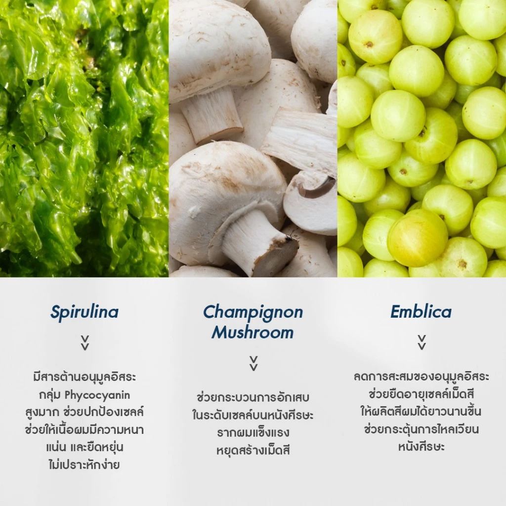 AGLAM Herratin Deppro - เฮอร์ราติน เดฟโปร ดูแลผมหงอก และเส้นผม thumbnail 3