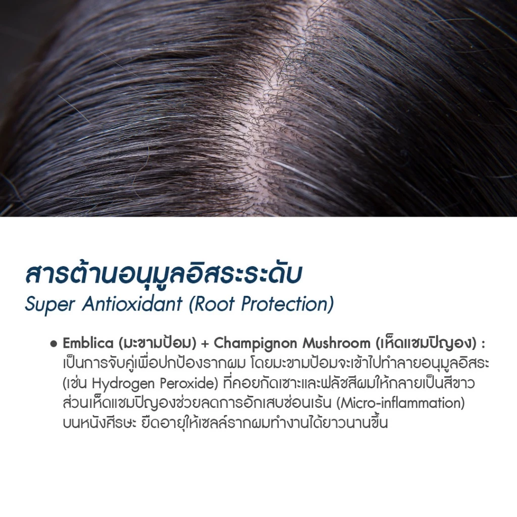 AGLAM Herratin Deppro - เฮอร์ราติน เดฟโปร ดูแลผมหงอก และเส้นผม thumbnail 7