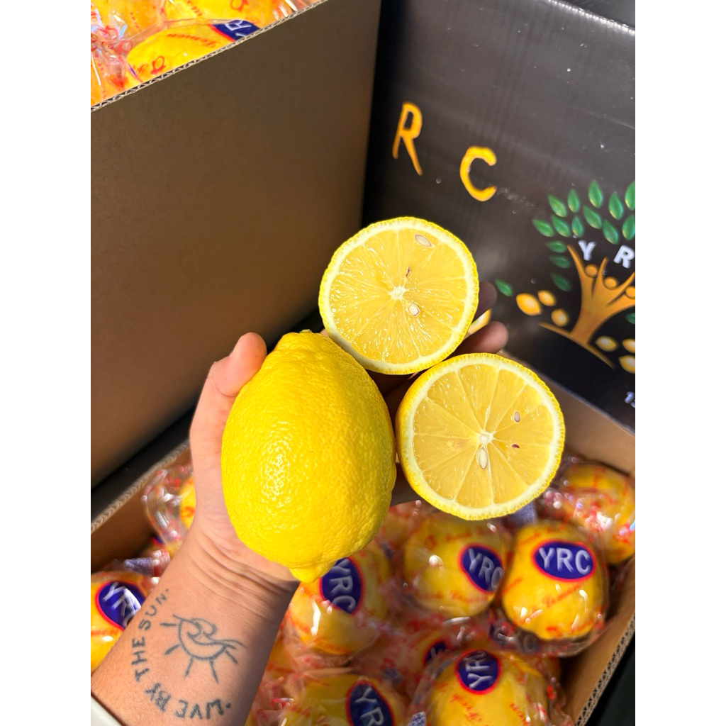 ส่งด่วน 4 ชม. ราคาส่งยกลัง🍋 เลม่อนนอก เลม่อน ผลสด สินค้านำเข้า (แพ็คเกจแตกต่างกันตามล๊อตสินค้า)