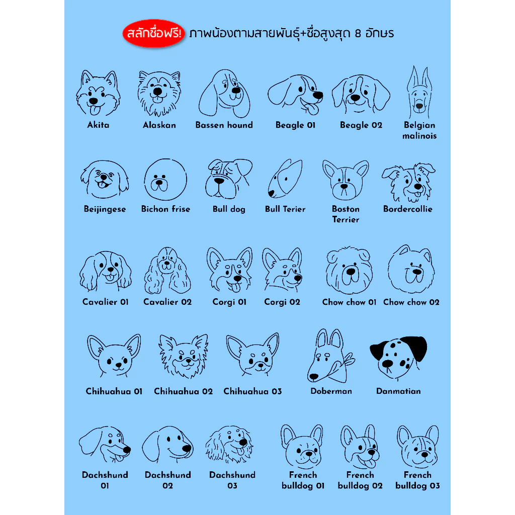 Paws x no plastic shop กระติกน้ำสุนัข กระบอกน้ำสุนัข ขวดน้ำสุนัข สแตนเลส เก็บความเย็น 24 ชั่วโมง thumbnail 9