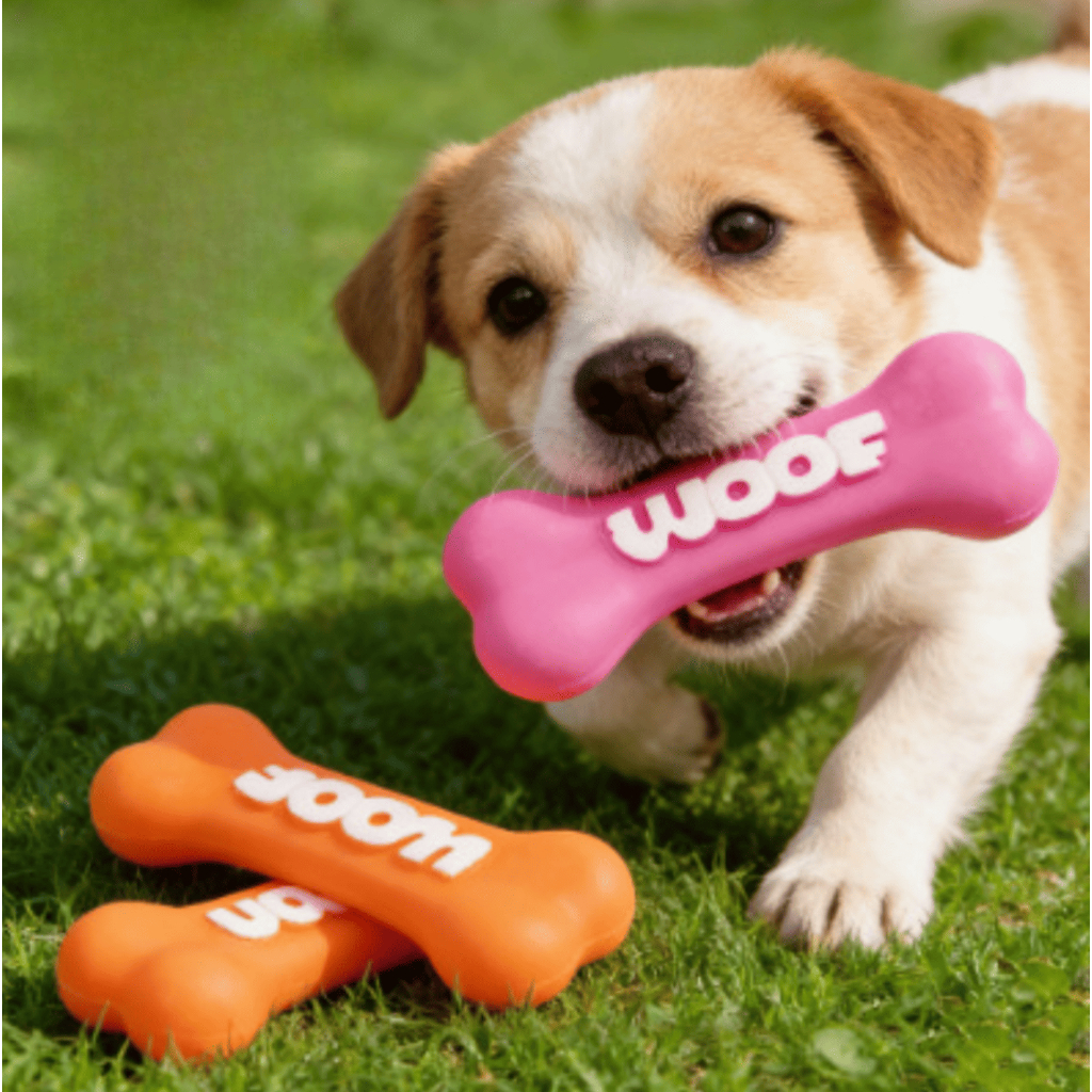 AL-4491 ของเล่นสัตว์เลี้ยง ของเล่นยาง ทรงกระดูก woof มีจุดนวดเหงือก เล่นสนุก ทน 2 สี พร้อมส่ง 💖🦴