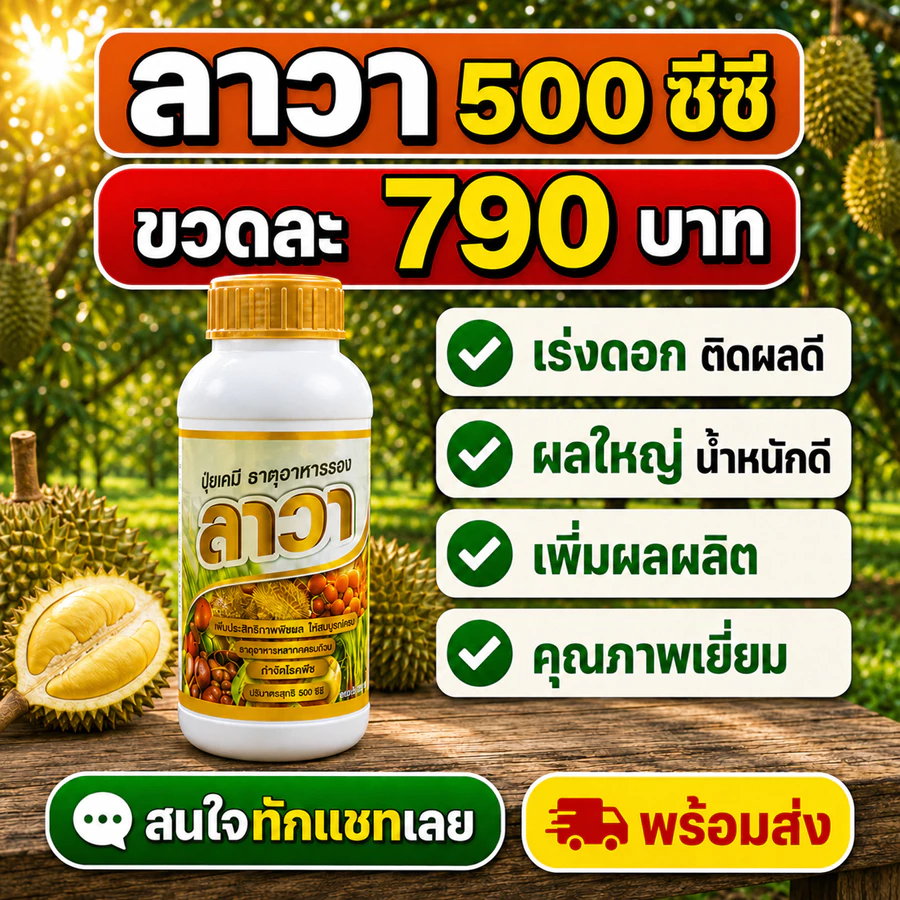 ปุ๋ยน้ำ ลาวา 1 ลิตร เข้มข้น เร่งโต เร่งผลผลิต สำหรับสวนมืออาชีพ ไม้ผลและทุเรียน พืช อ้อย