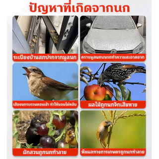 🕊️วางปุ๊บ นกหนีทันที! ก้อนไล่นกพิราบ 9 เม็ด ยาไล่นก กันนก สูตรธรรมชาติ ใช้ที่ระเบียง หลังคา รอบบ้าน ปลอดภัย