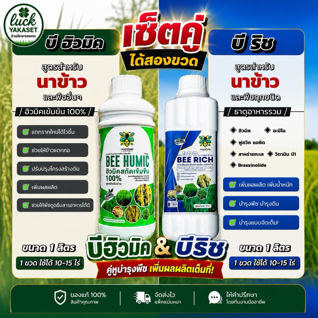 เซ็ตคู่ บีฮิวมิค+บีริช ใช้ได้ 10-15ไร่ สูตรลับสำหรับนาข้าวใช้คู่เพิ่มผลผลิตเพิ่มกำไร ดินดี รากแข็งแรง พืชเขียว อึด ทน