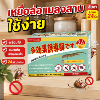 🪳กำจัดตัวและไข่🪳 IC รังยาฆ่าแมลงสาบ 24 ชิ้น/กล่อง ไล่แมลงสาบ กำจัดแมลงสาบยก เห็นผลไว สูตรเข้มข้น ช้งานง่าย