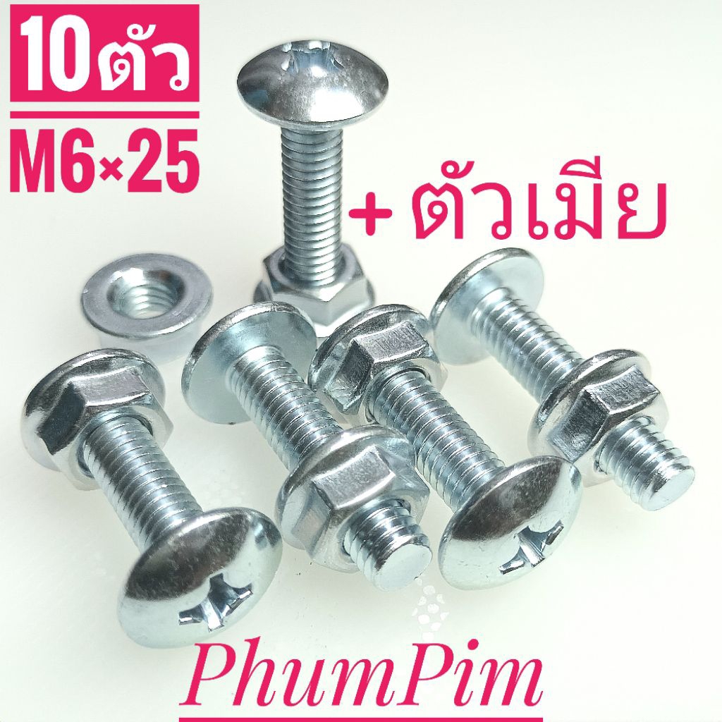 น็อตตัวผู้หัวร่มเกลียวเบอร์10(M6×25)(พร้อมตัวเมีย10ตัว)เกล