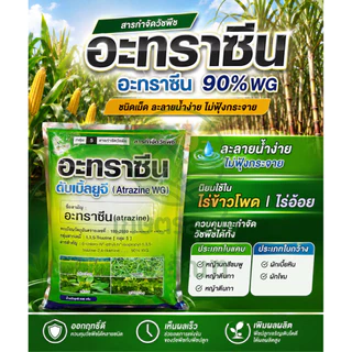 อาทราซีน เม็ด กำจัดวัชพืชใบแคบใบกว้าง ไร่อ้อย ไร่ข้าวโพด ไร่สับปะรด